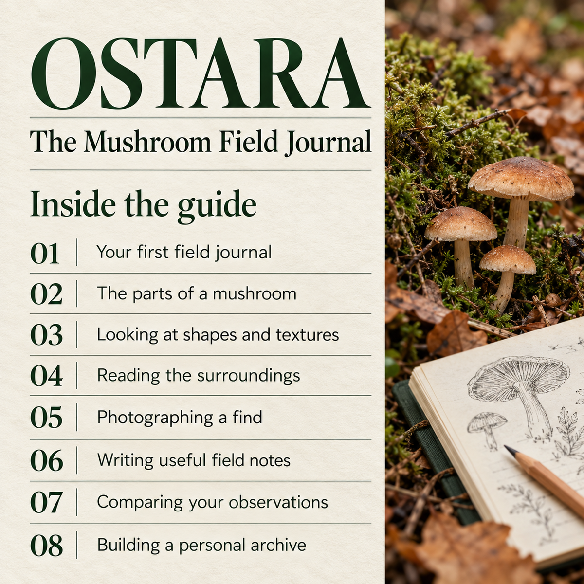 The Mushroom Field Journal